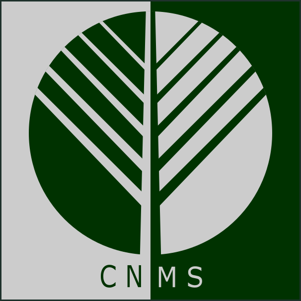 Logo - Clínica CNMS